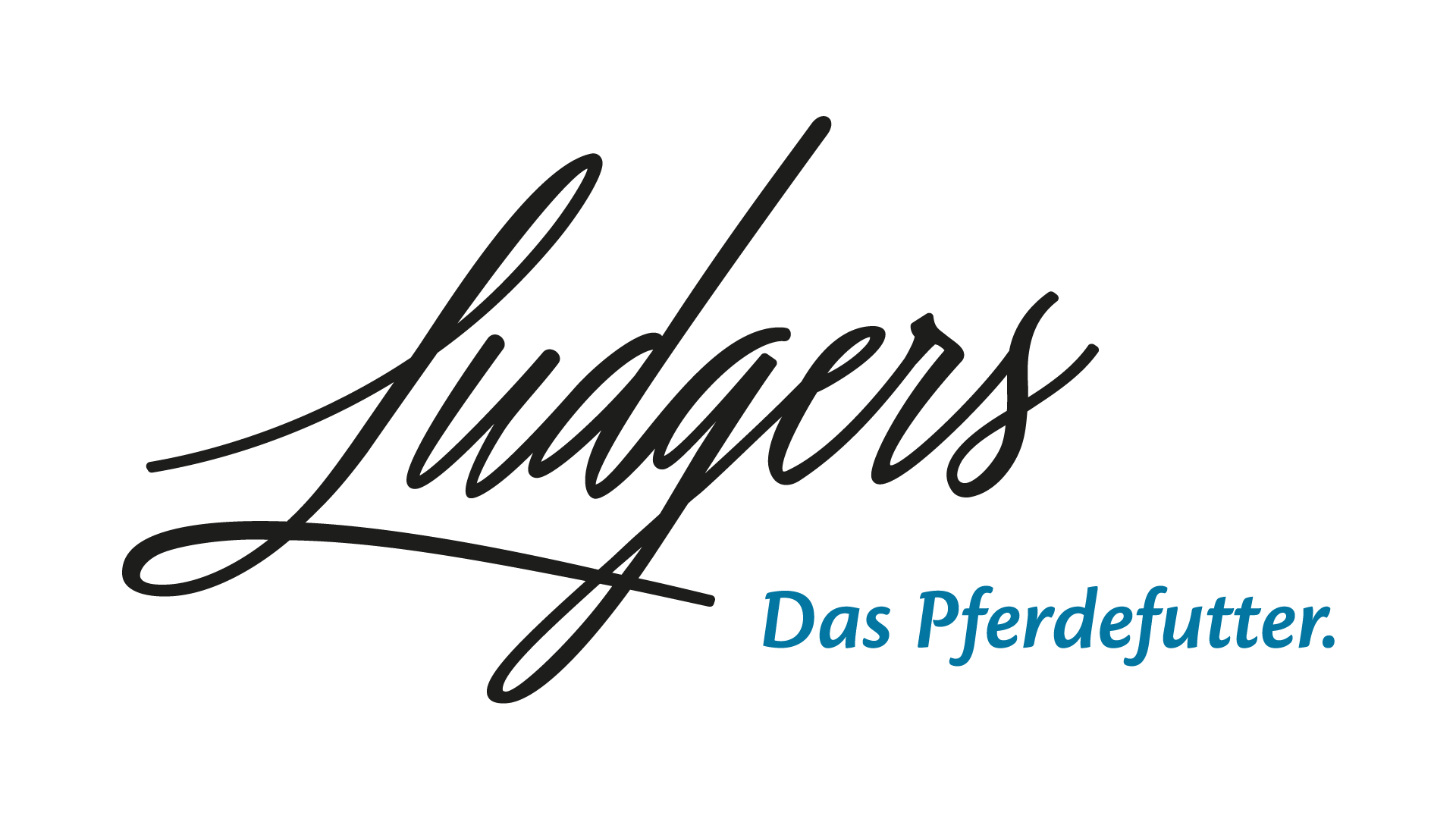 Sponsor